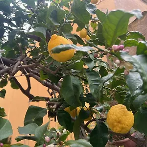  Appartamento Vicino Al Mare Italia